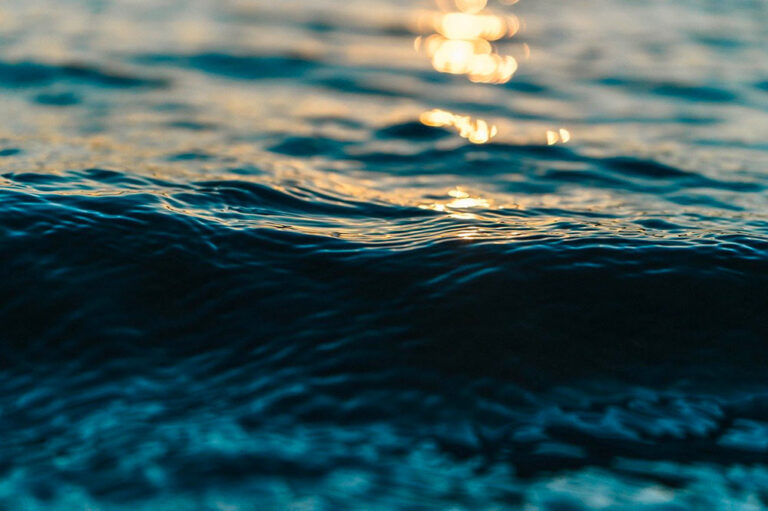 Coronavirus y el mar