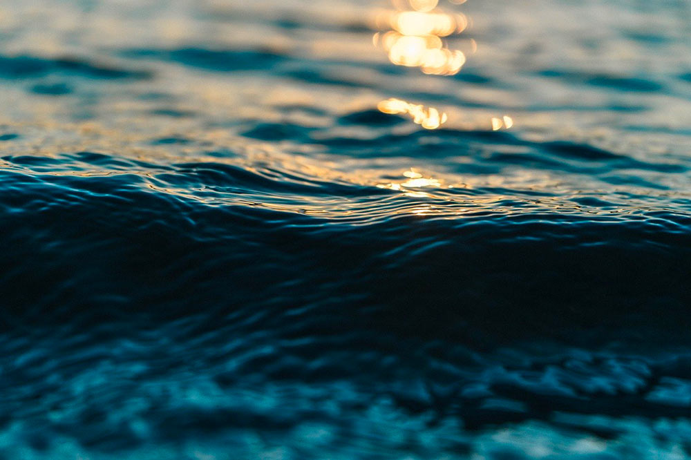 Coronavirus y el mar