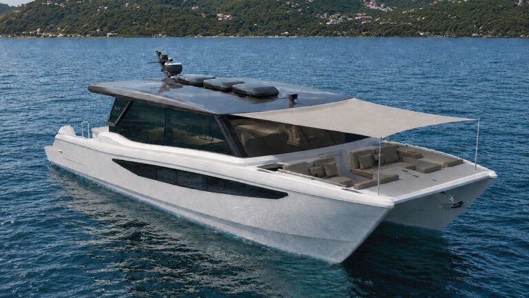 silvercat 47 foto